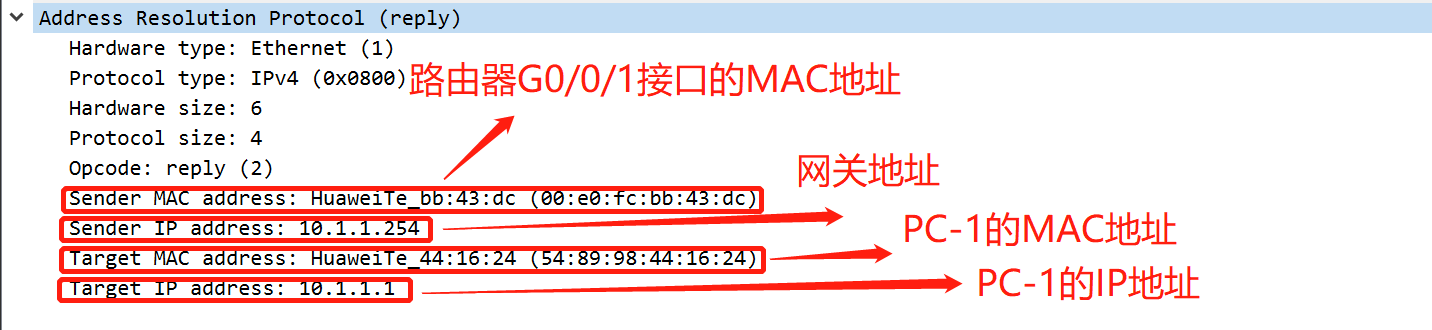PC-1的ARP响应报文
